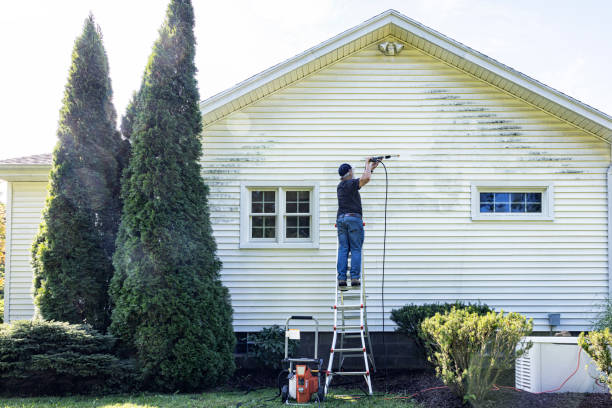Trusted Newnan, GA Pressure Washing Services Experts